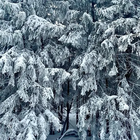 Przy Stoku Trojkaty I Kwadraty Karpatia * カルパッチ