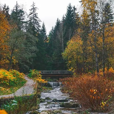 Przy Stoku Trojkaty I Kwadraty Karpatia カルパッチ