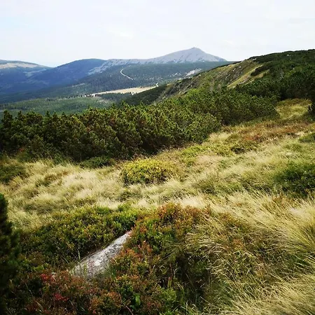 アパート Przy Stoku Trojkaty I Kwadraty Karpatia