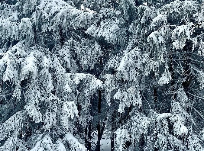 Przy Stoku Trojkaty I Kwadraty Karpatia * Karpacz