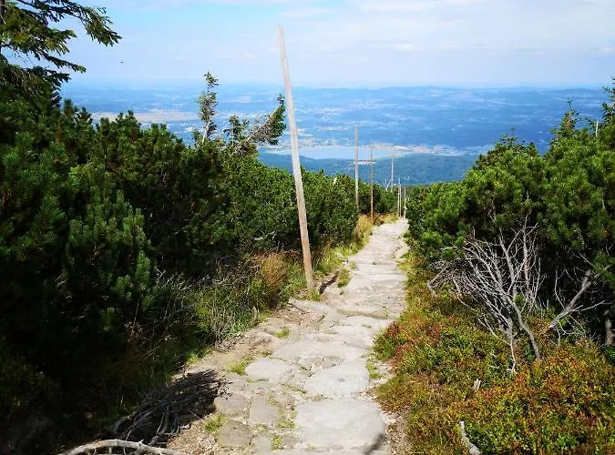Lägenhet Przy Stoku Trojkaty I Kwadraty Karpatia