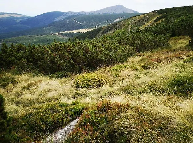 Lägenhet Przy Stoku Trojkaty I Kwadraty Karpatia